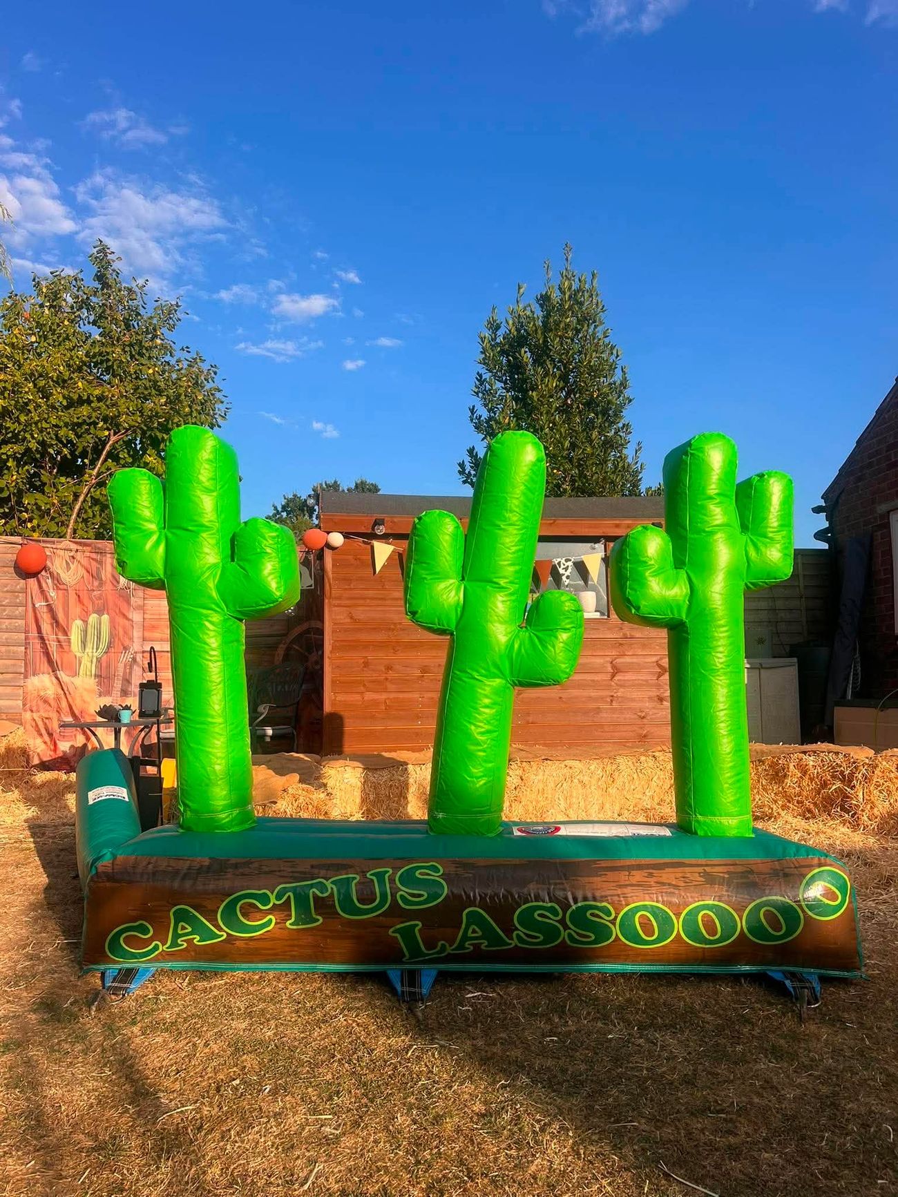 Inflatable Cactus Lassoo ring toss game with three green cacti on a wood-effect base