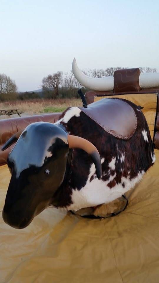 Brown-and-white spotted mechanical bull with saddle on tan padded mat with rural backdrop
